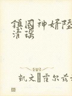镇国神婿陆尘李清瑶
