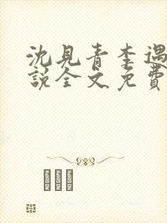 沈见青李遇泽小说全文免费阅读