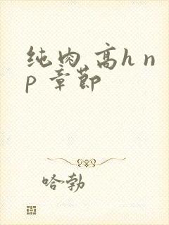 纯肉 高h np 章节