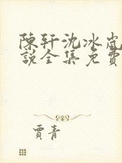 陈轩沈冰岚 小说全集免费看
