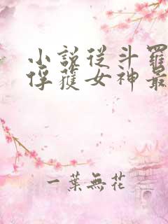 小说从斗罗开始俘获女神最新章节