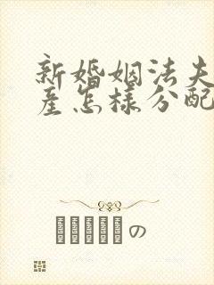 新婚姻法夫妻财产怎样分配