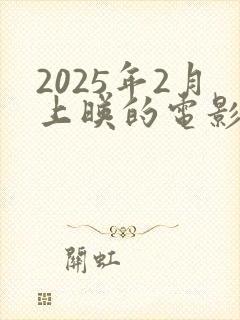 2025年2月上映的电影