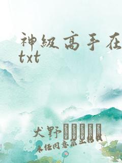神级高手在都市txt
