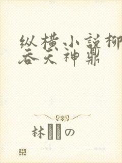 纵横小说柳无邪吞天神鼎