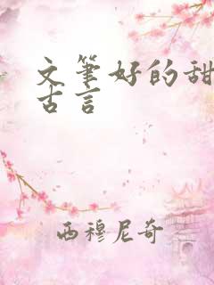 文笔好的甜宠文古言