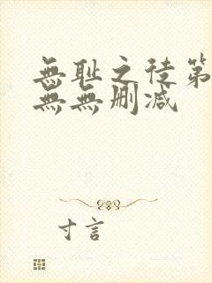 无耻之徒第一季无无删减