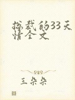 总裁的33天索情全文