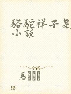 骆驼祥子是长篇小说