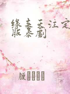 缘来天注定完整版泰剧