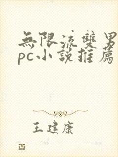 无限流双男主npc小说推荐