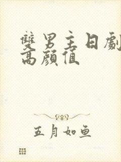 双男主日剧推荐高颜值