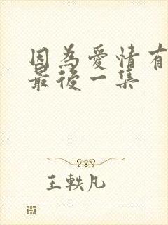 因为爱情有多美最后一集