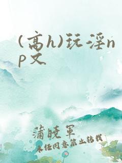 (高h)玩淫np文