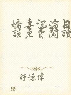 娇妻沉沦日记小说免费阅读全文