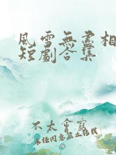 风雪无尽相思情短剧合集