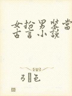 女扮男装当官的古言小说