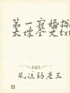 第一宠婚总裁别太坏全文txt