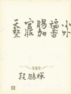 天官赐福小说完整版加番外txt