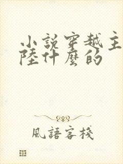 小说穿越主角叫陆什么的