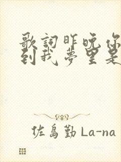 歌词昨晚你又来到我梦里是什么歌