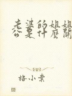 老婆的姐姐的老公是什么关系