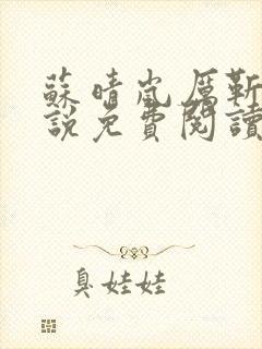 苏晴岚厉靳川小说免费阅读最新章节