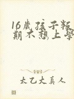 16岁孩子叛逆期不想上学怎么沟通