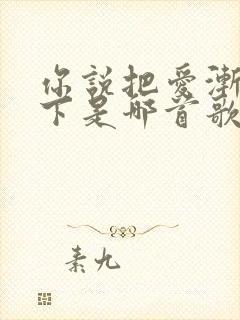 你说把爱渐渐放下是哪首歌的歌词