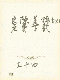 良陈美锦txt免费下载