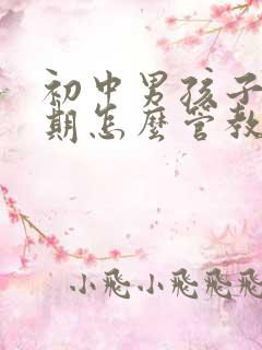 初中男孩子叛逆期怎么管教最合适