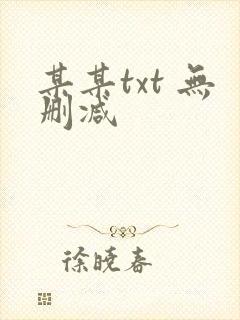 某某txt 无删减