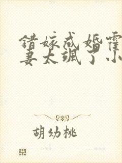 错嫁成婚霍少丑妻太飒了小说