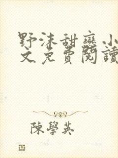 野沫甜恋小说全文免费阅读