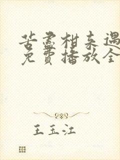 苦尽柑来遇见你免费播放全集