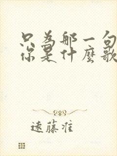 只为那一句我爱你是什么歌的歌词