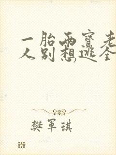 一胎两宝老婆大人别想逃全文免费