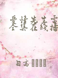 爱情先生电视剧全集在线播放