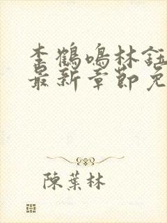 李鹤鸣林钰小说最新章节免费阅读