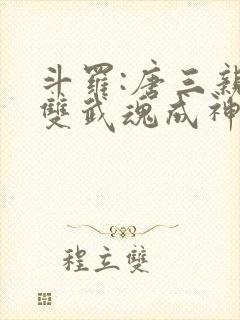 斗罗:唐三亲妹双武魂成神免费阅读