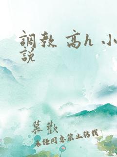 调教 高h 小说