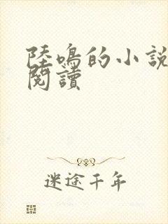 陆鸣的小说免费阅读