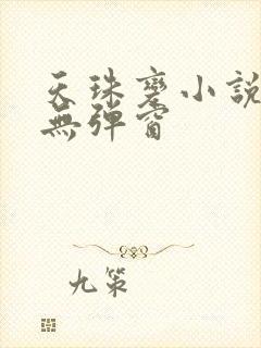 天珠变小说免费无弹窗