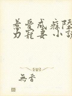 惹爱成瘾陆少实力宠妻 小说