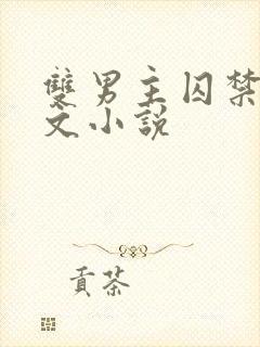 双男主囚禁生子文小说