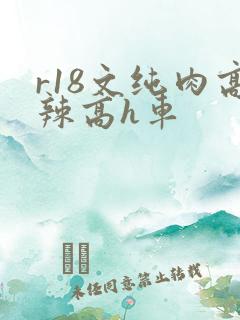 r18文纯肉高辣高h车