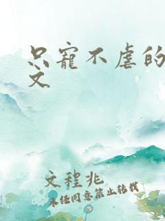 只宠不虐的甜宠文