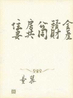 住房公积金是夫妻共同财产吗