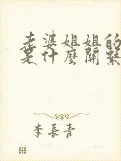 老婆姐姐的老公是什么关系