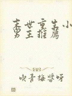 末世重生小说双男主推荐